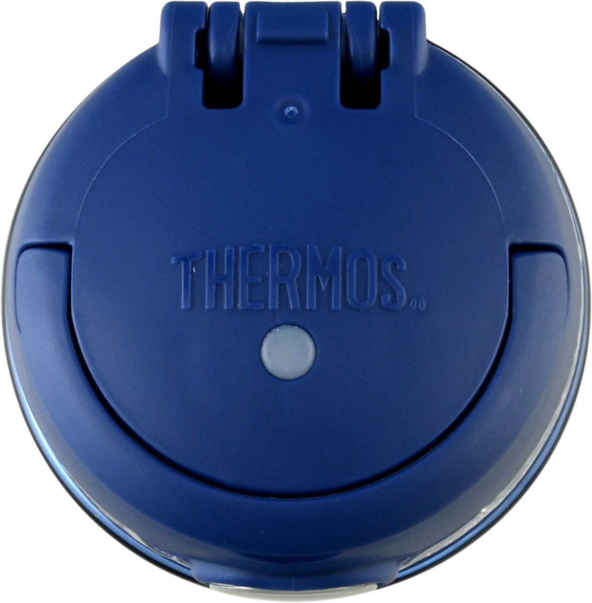 slide 9 of 10, Thermos Kids 16 Ounce Bottle 1 ea, 1 ct