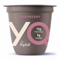 slide 1 of 1, Yoplait Yq Raspberry Yogurt, 5.3 oz