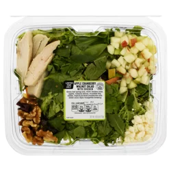 Giant Apple Cranberry Walnut Salad with Chicken