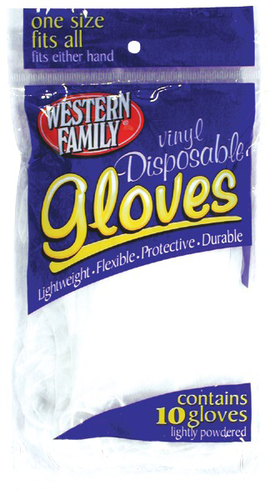 slide 1 of 1, Western Family Gloves Disposable Vinyl, 1 ct