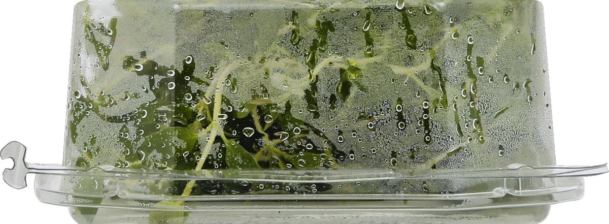 slide 2 of 4, North Shore Living Herbs Thyme 1 ea, 1 ct