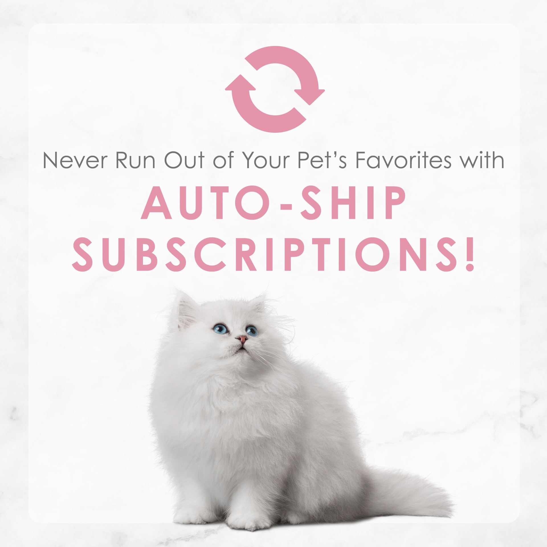 slide 5 of 9, Fancy Feast Purina Fancy Feast Kitten Tender Chicken Feast Wet Kitten Food Pate - 3 oz. Can, 1 ct