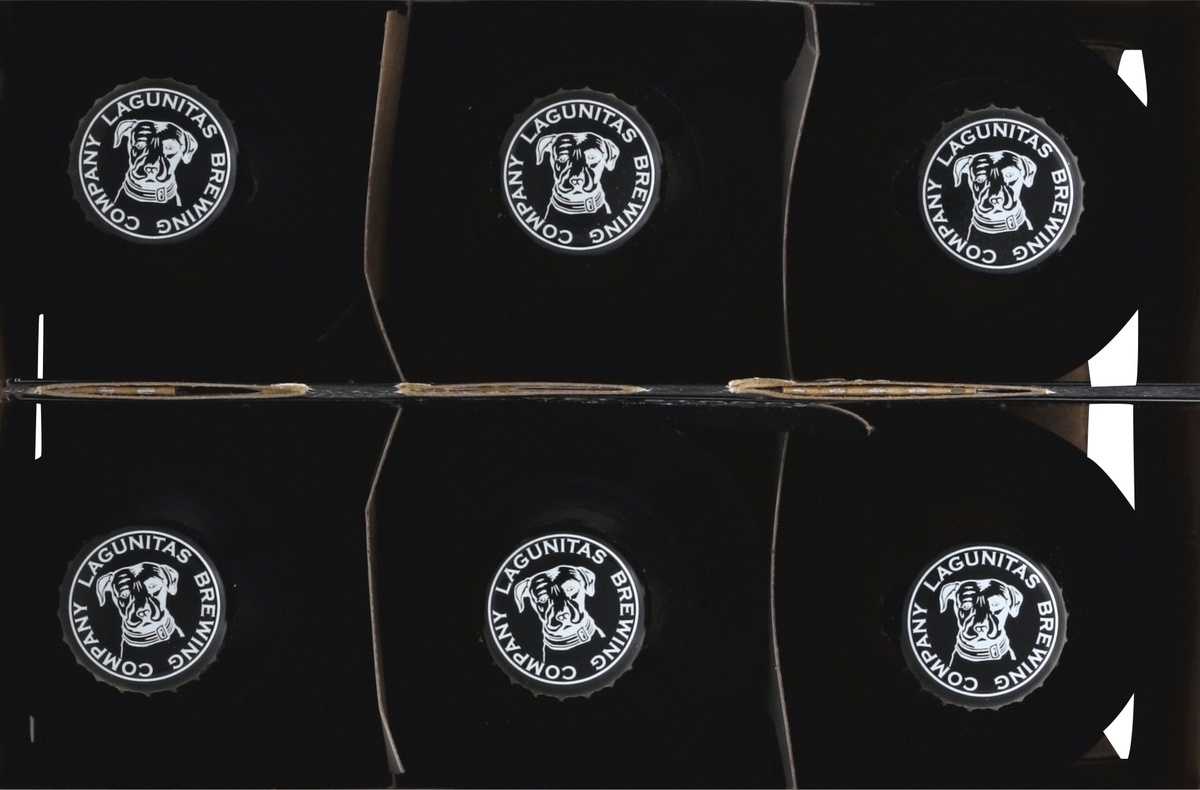 lagunitas kegs for sale