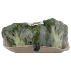 Organic Broccoli