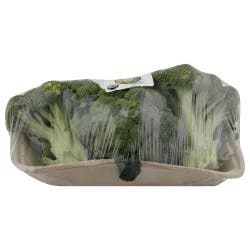 Organic Broccoli