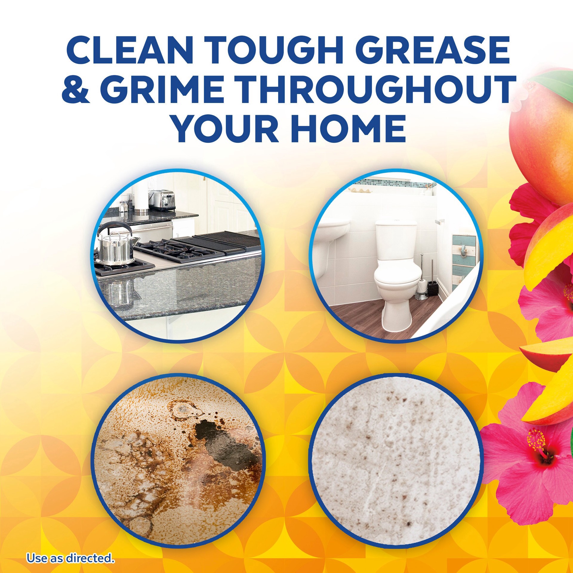 slide 6 of 6, LYSOL 32-oz Mango and Hibiscus Disinfectant Liquid All-Purpose Cleaner, 1 ct