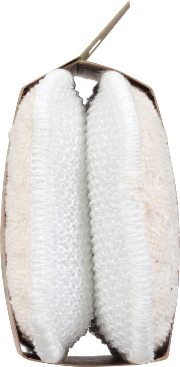 slide 6 of 11, Scotch-Brite Greener Clean Pads 2 ea, 2 ct