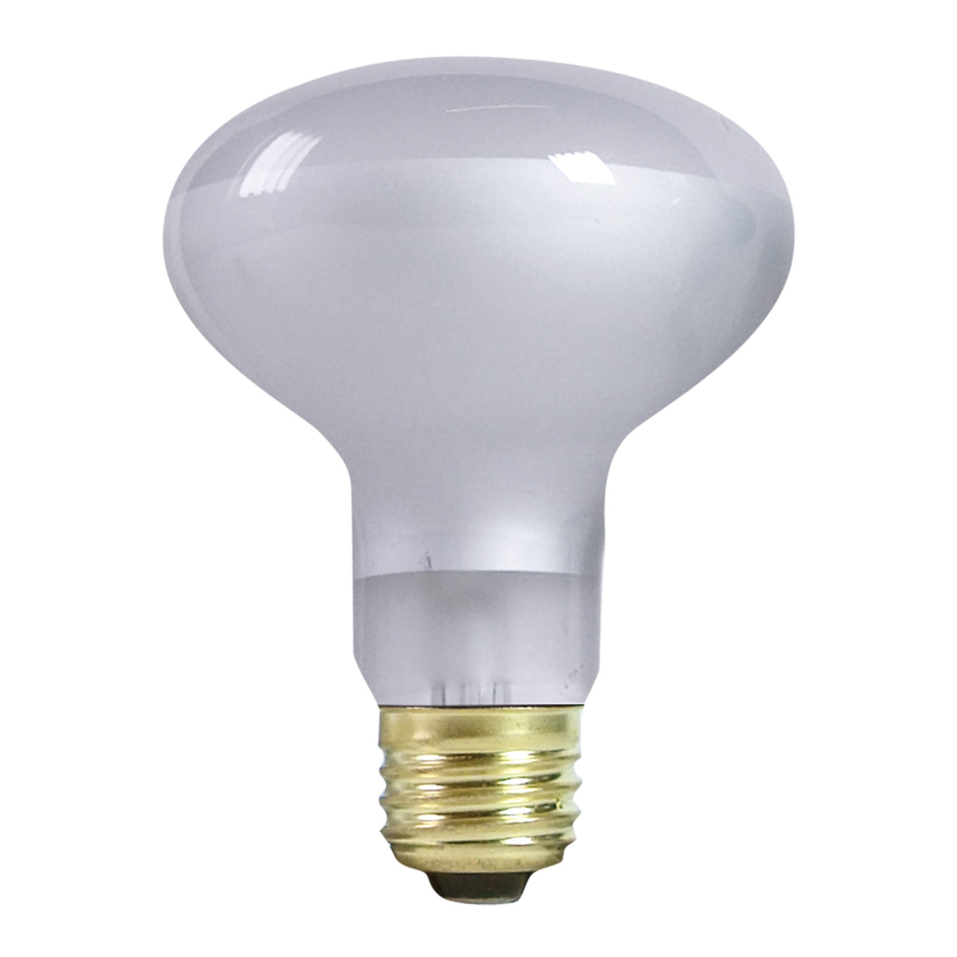 slide 3 of 6, Zilla Incandescent Spot Bulbs Day White 100 Watts, 1 ct
