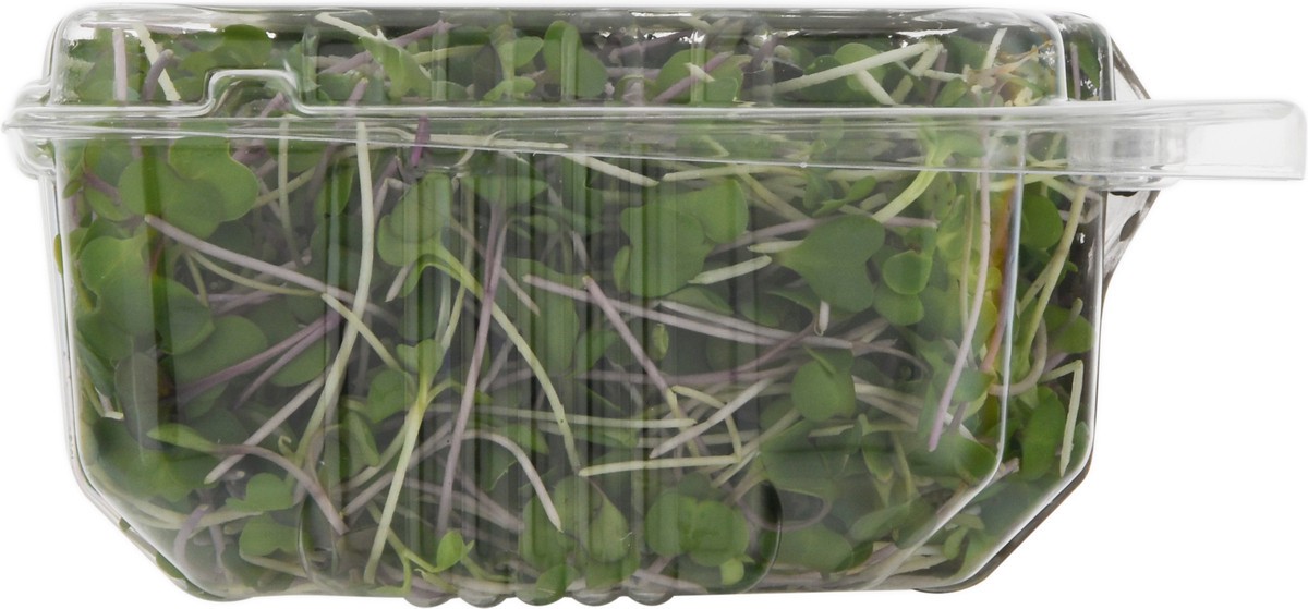 slide 2 of 14, Jonathan's Sprouts Rainbow Mix Organic Microgreens 2 oz, 
