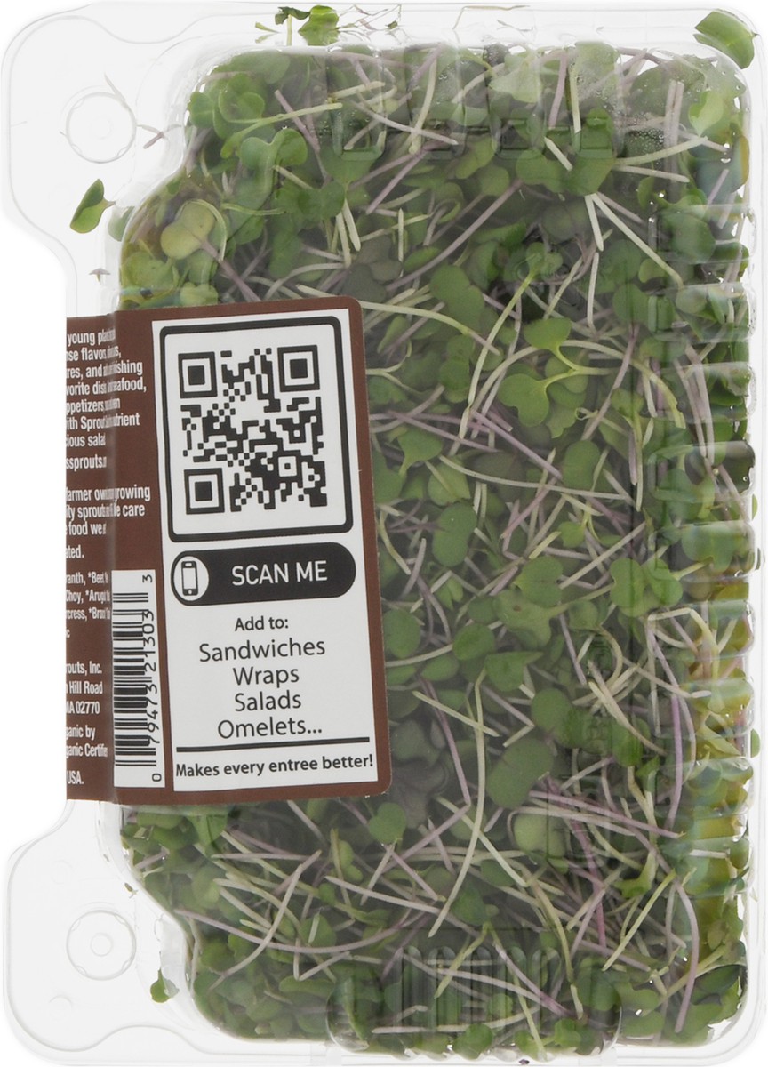 slide 12 of 14, Jonathan's Sprouts Rainbow Mix Organic Microgreens 2 oz, 