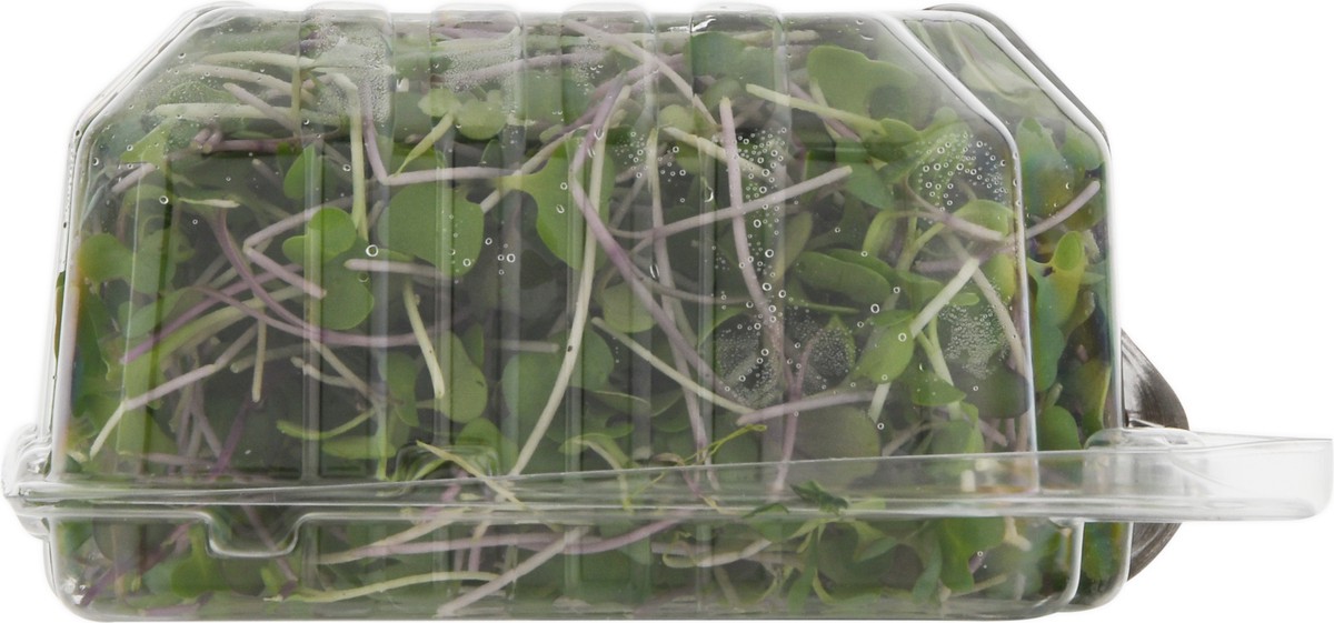 slide 13 of 14, Jonathan's Sprouts Rainbow Mix Organic Microgreens 2 oz, 