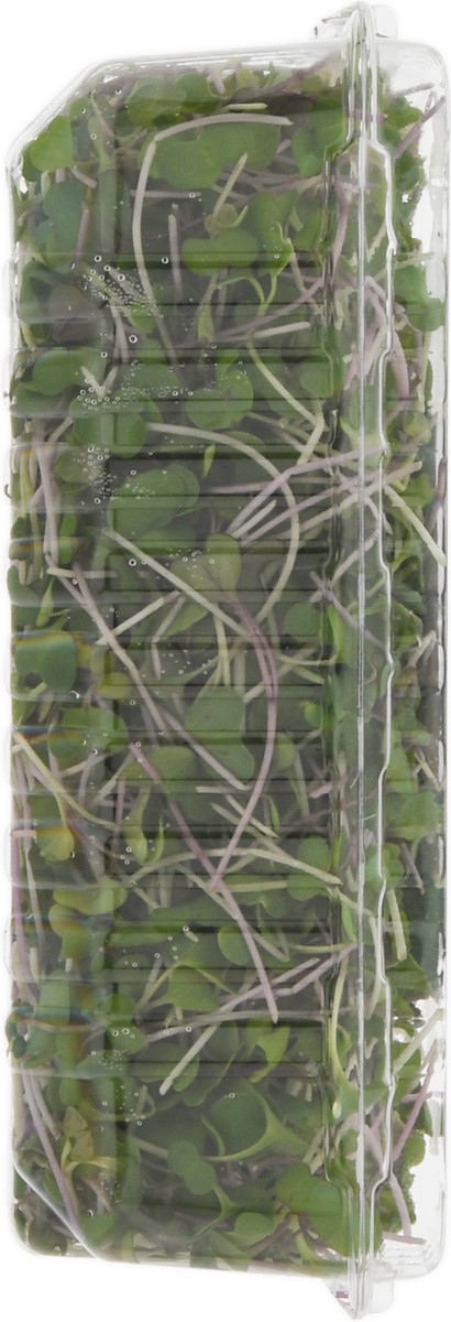 slide 8 of 14, Jonathan's Sprouts Rainbow Mix Organic Microgreens 2 oz, 
