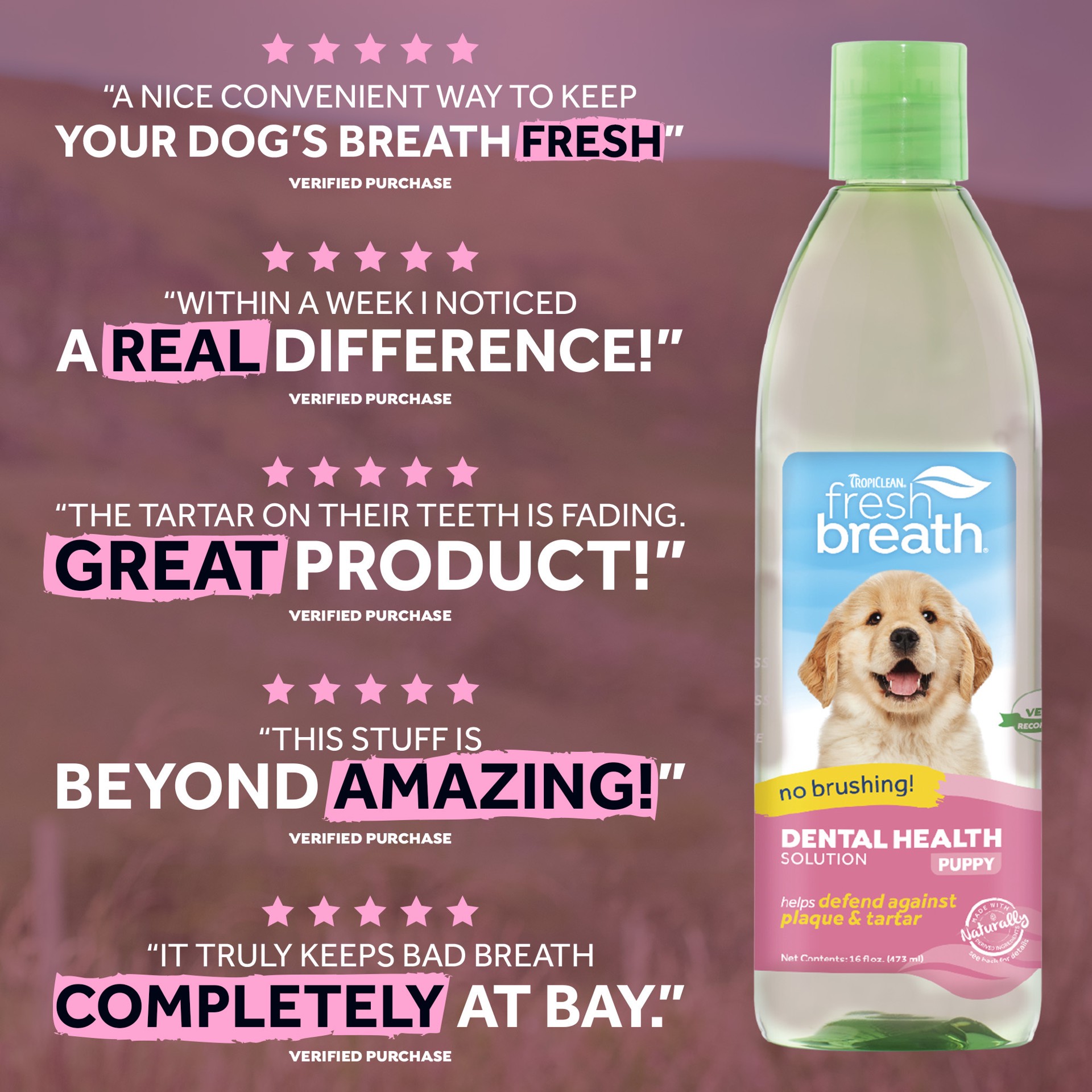 slide 8 of 10, TropiClean Fresh Breath Dental Health Solution for Puppies, 16oz, 16 oz