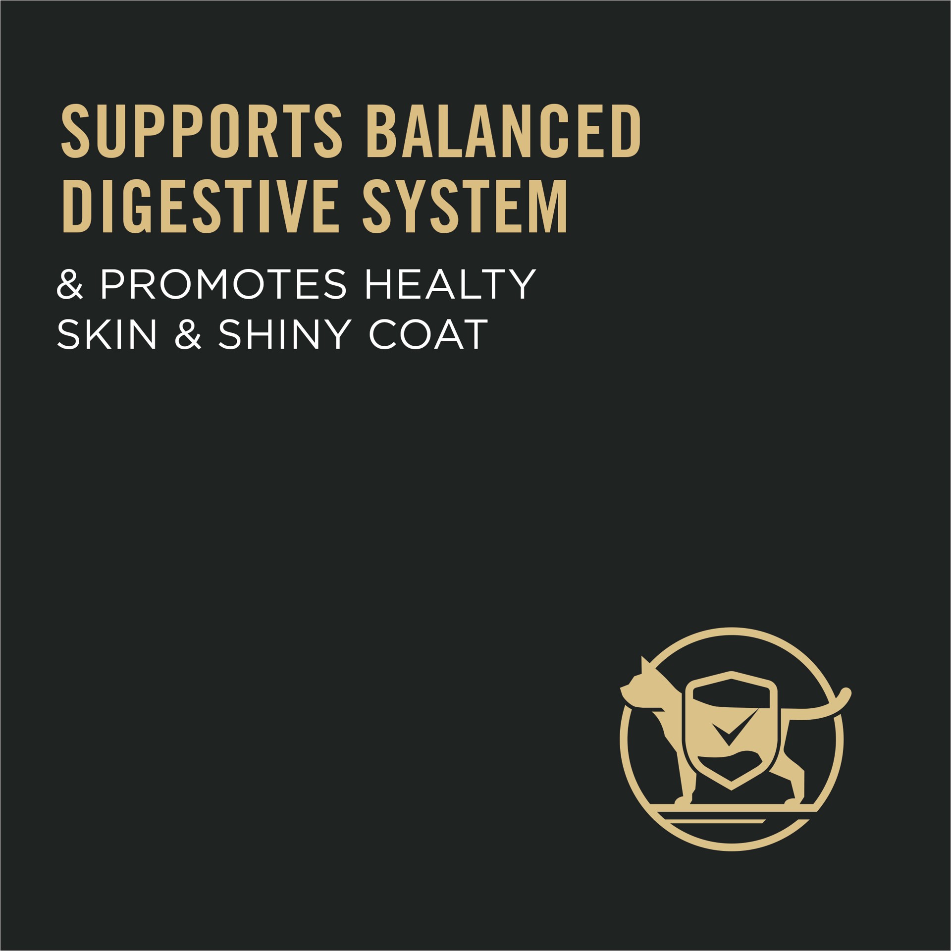 slide 7 of 7, Purina Pro Plan With Probiotics, Sensitive Skin & Stomach, Natural Dry Cat Food, Turkey & Oat Meal Formula, 3.2 lb