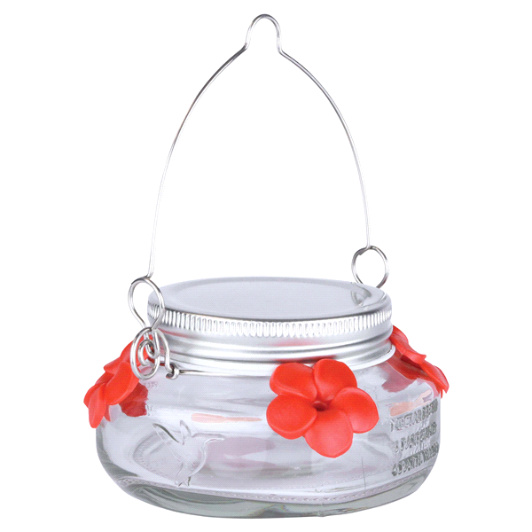 Meijer Mason Jar Hummingbird Feeder 6 oz Shipt