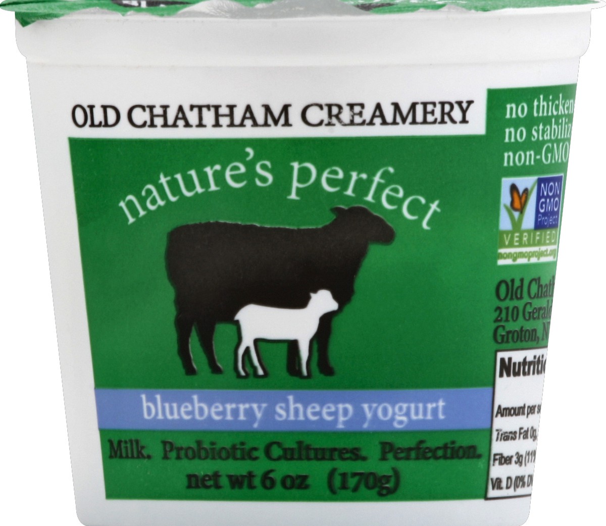 slide 2 of 3, Old Chatham Creamery Yogurt 6 oz, 6 oz