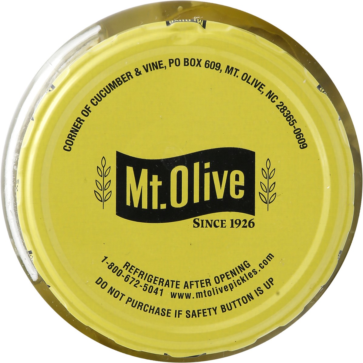 slide 2 of 9, Mt. Olive Simply Pickles Hamburger Chips Kosher Dill Pickles 24 fl oz Jar, 24 oz