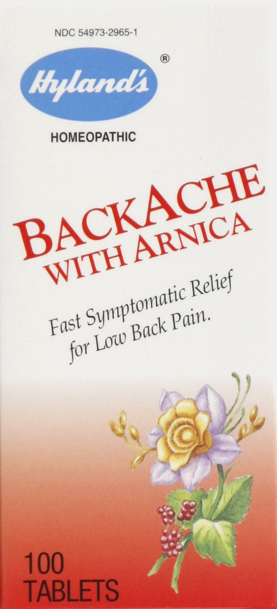 slide 3 of 4, Hyland's BackAche 100 ea, 100 ct