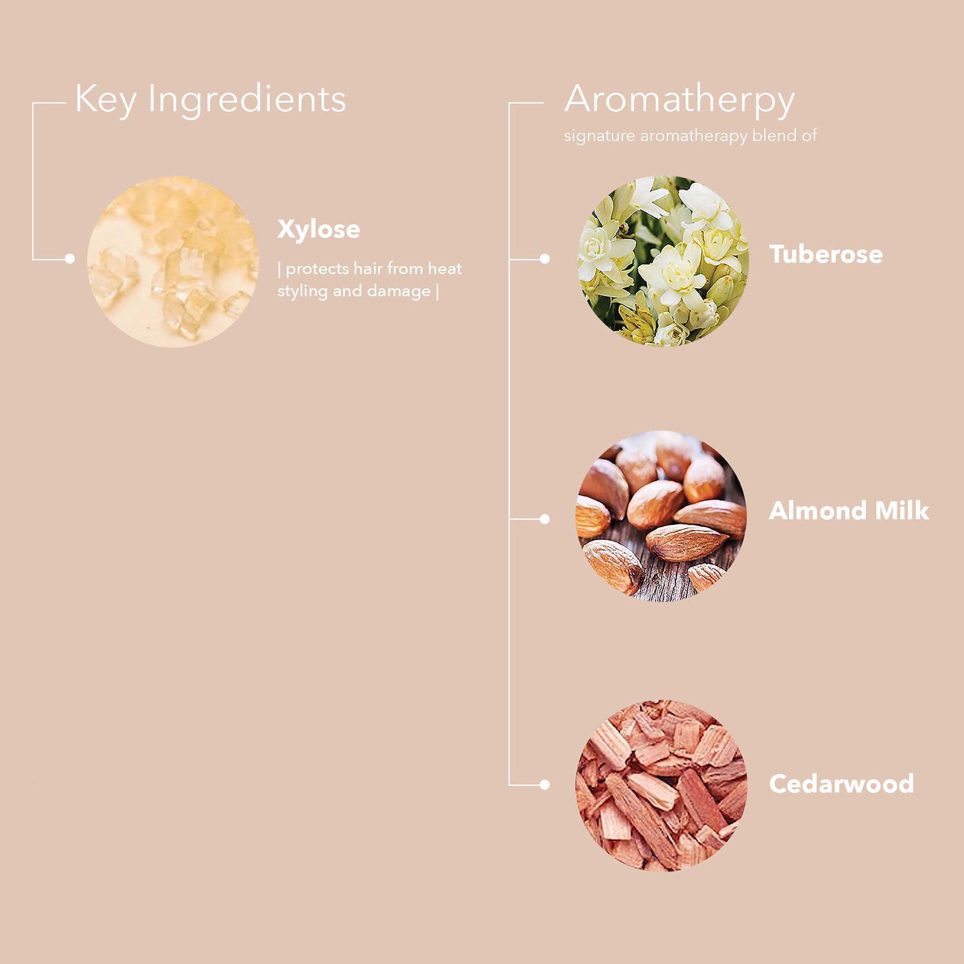 slide 2 of 6, Pureology Style + Protect Weightless Hair Mousse 8.4 oz/ 238 g, 8.4 oz/ 238 gram