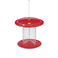 slide 9 of 9, BIRDS CHOICE Bird's Choice Color Pop Sunflower Feeder, 1 ct