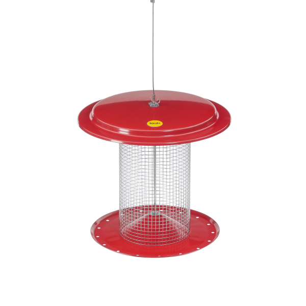 slide 8 of 9, BIRDS CHOICE Bird's Choice Color Pop Sunflower Feeder, 1 ct