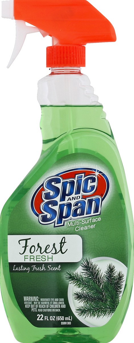 slide 2 of 2, Prestige Brands, Inc. Spic And Span Multi-Surface Cleaner Forest Fresh, 22 fl oz