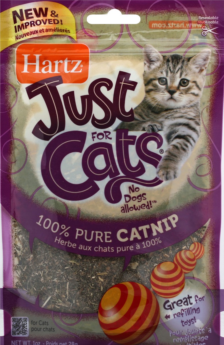 slide 2 of 2, Hartz Cat Play Catnip, 1 ct