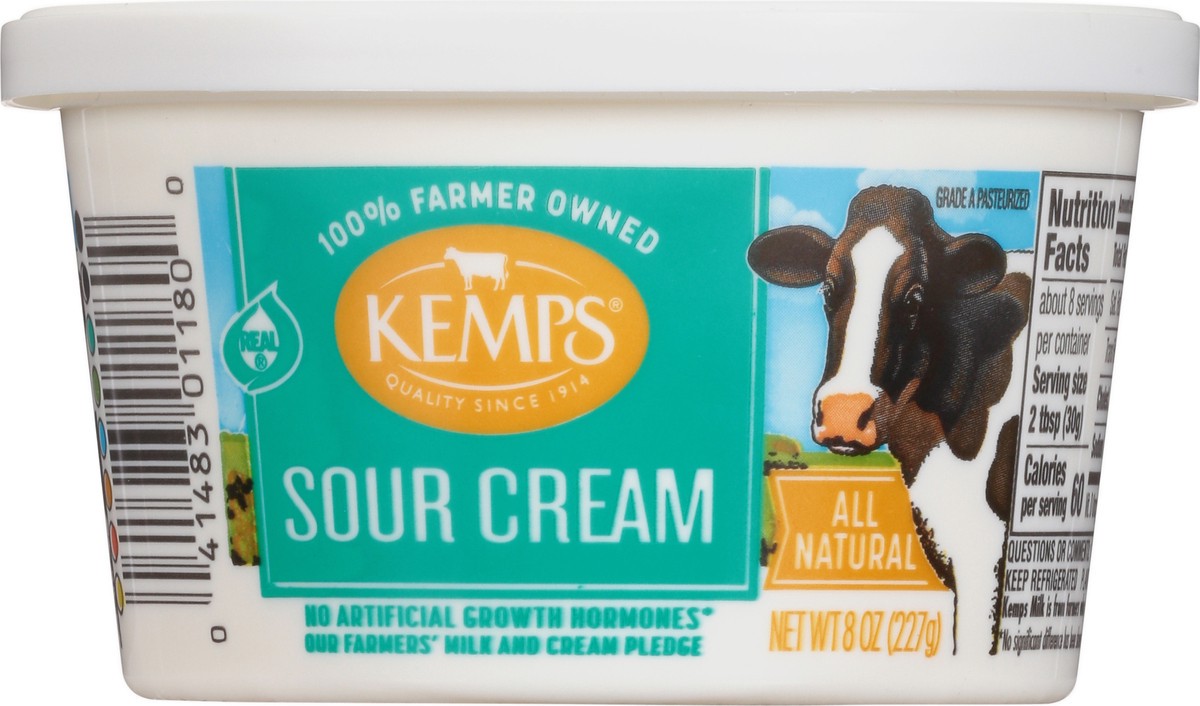 slide 1 of 9, Kemps Sour Cream 8 oz, 8 oz