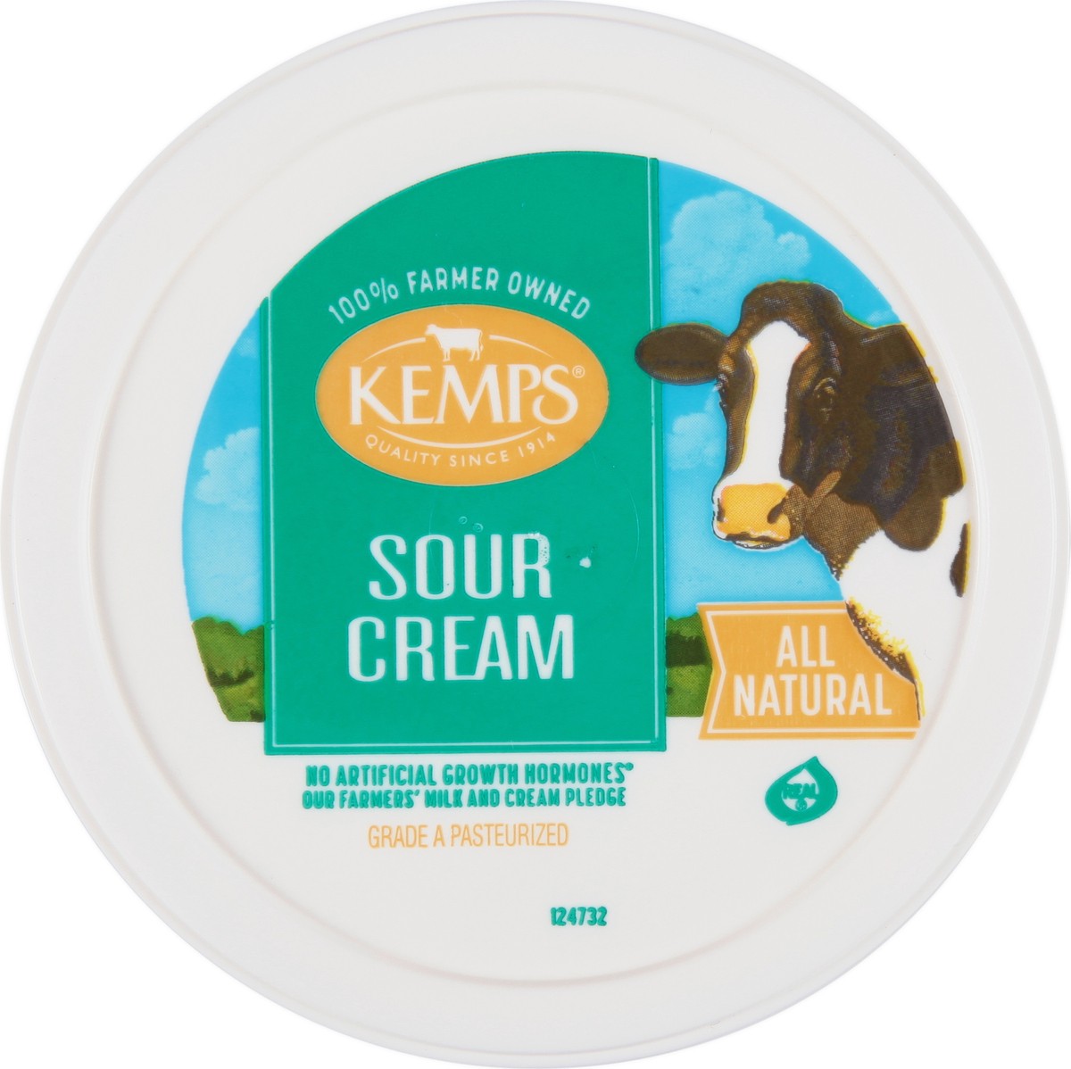 slide 4 of 9, Kemps Sour Cream 8 oz, 8 oz