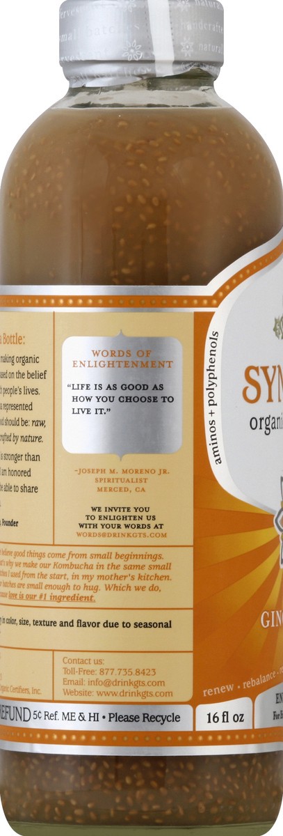 slide 2 of 4, GT's Synergy Organic Kombucha Ginger Chia - 16 fl oz, 16 fl oz