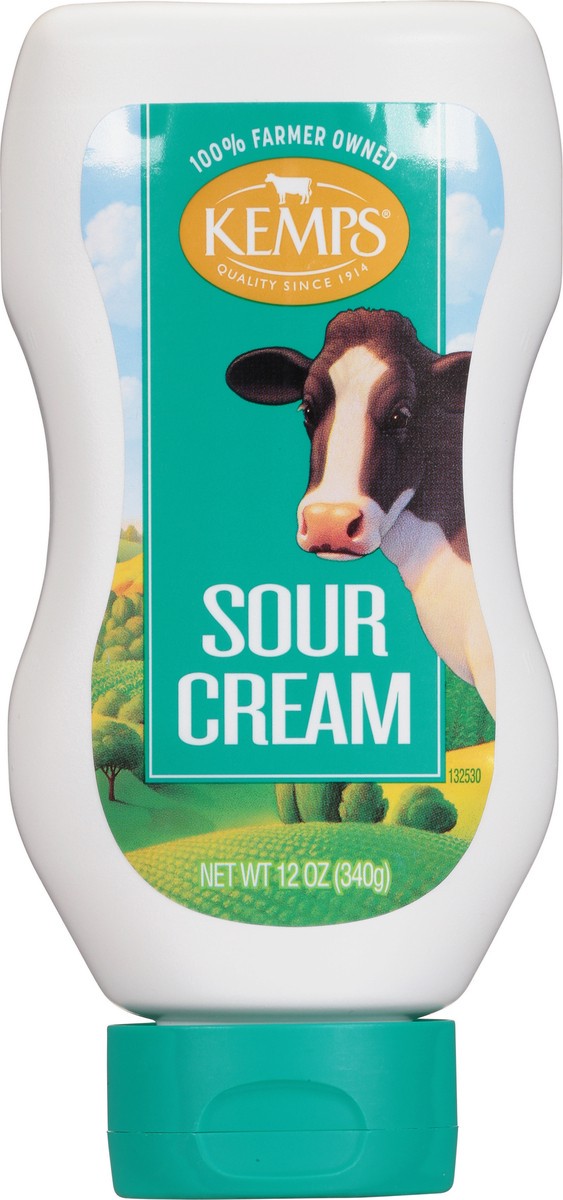 slide 13 of 14, Kemps Sour Cream Sour Cream Squeeze, 12 oz