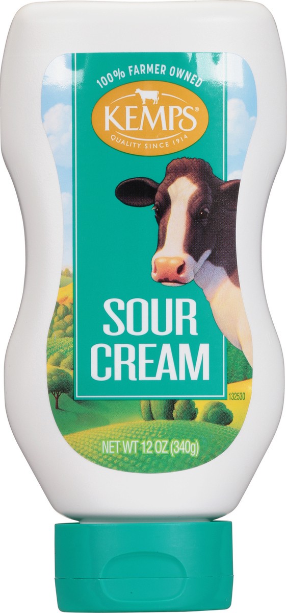 slide 1 of 14, Kemps Sour Cream Sour Cream Squeeze, 12 oz