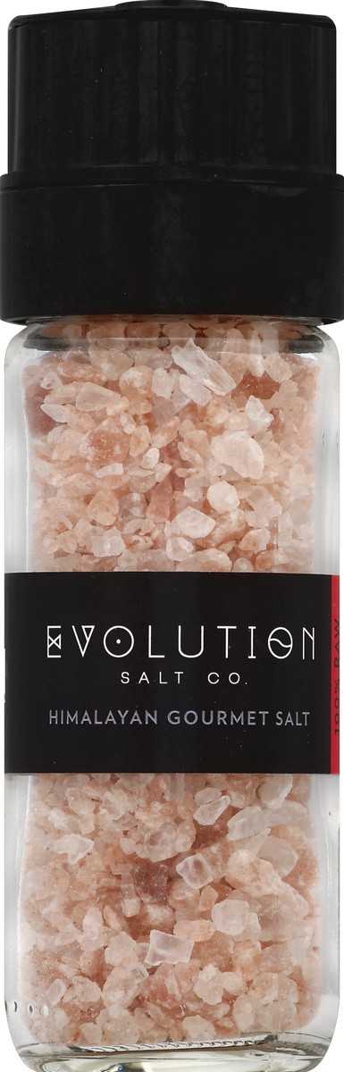 slide 1 of 1, Evolution Salt Salt 4 oz, 4 oz