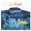 slide 14 of 29, Tetra GloFish Cube Aquarium Kit, 1.5 gal