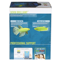 slide 23 of 29, Tetra GloFish Cube Aquarium Kit, 1.5 gal