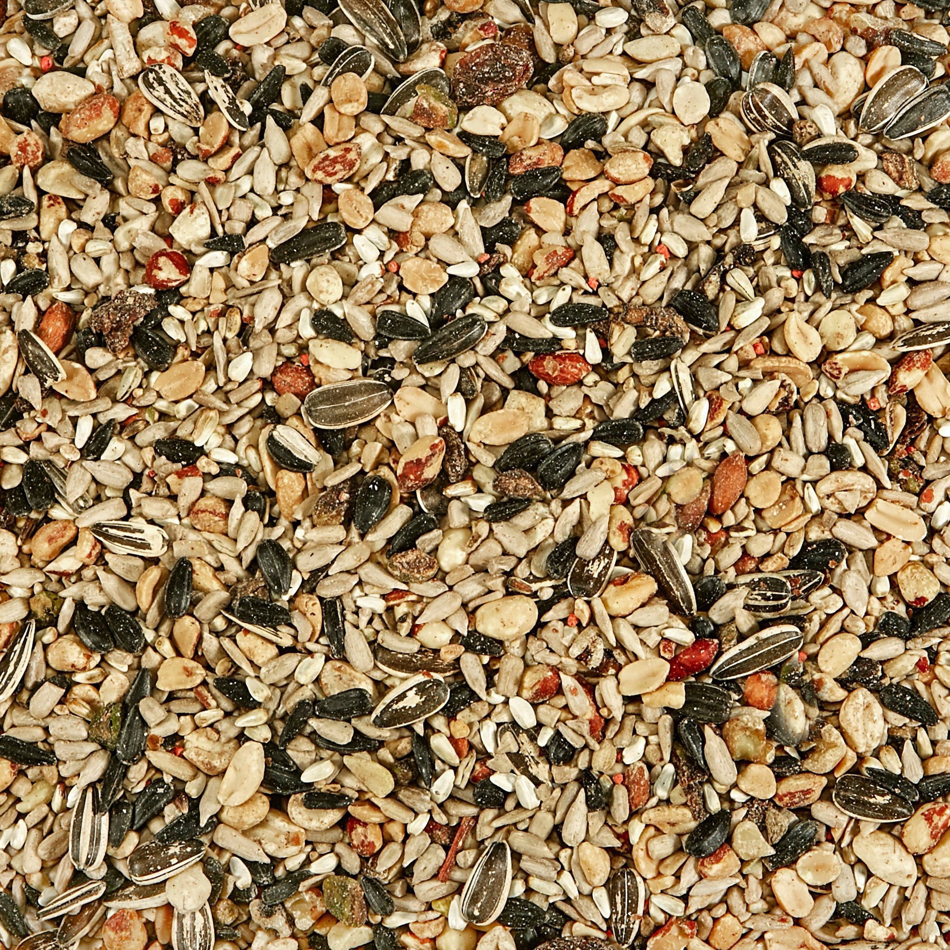 slide 2 of 7, Kaytee Wild Bird Food Nut & Fruit Blend, 10 lb
