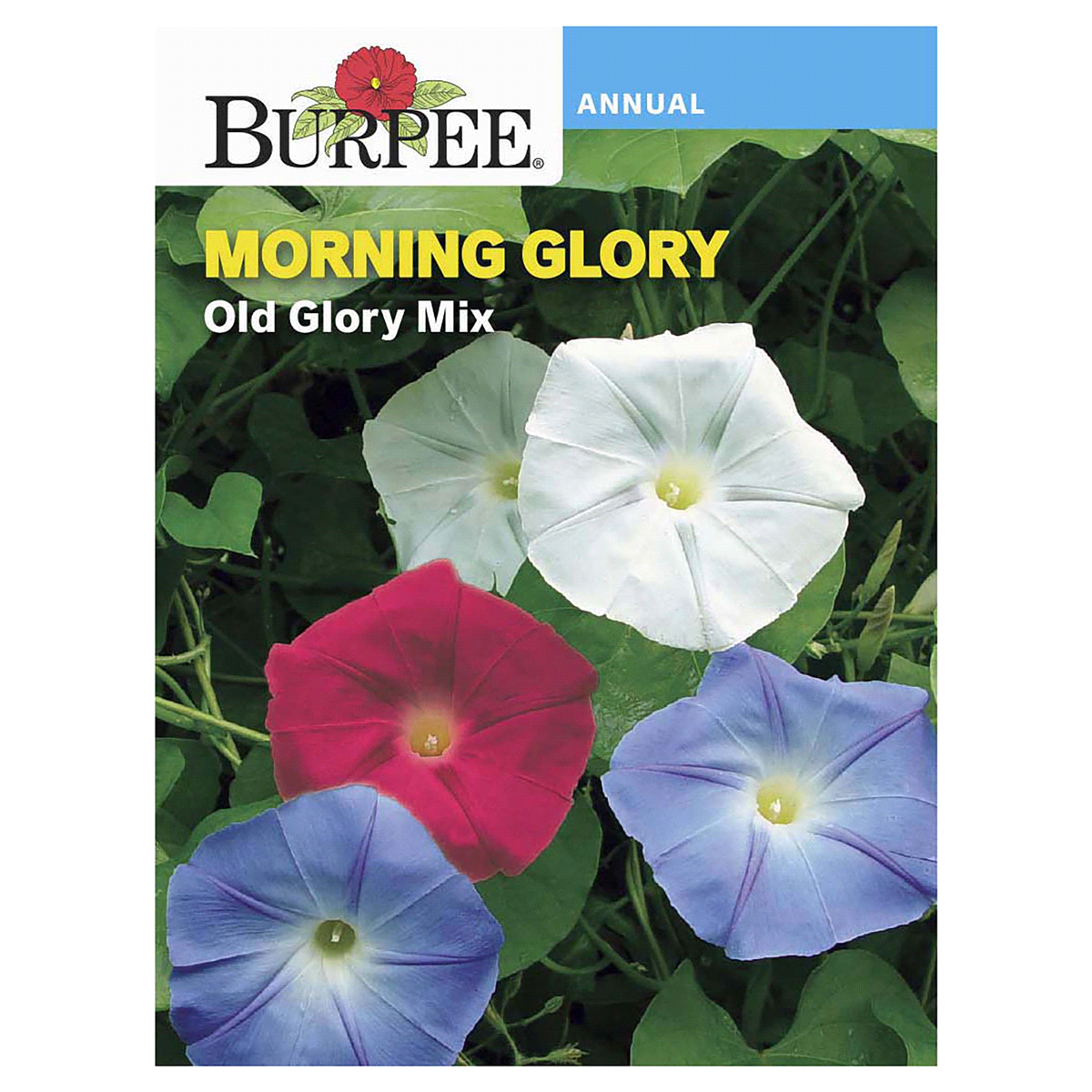 slide 1 of 5, Burpee Morning Glory Old Glory Mix Seeds, 1 ct