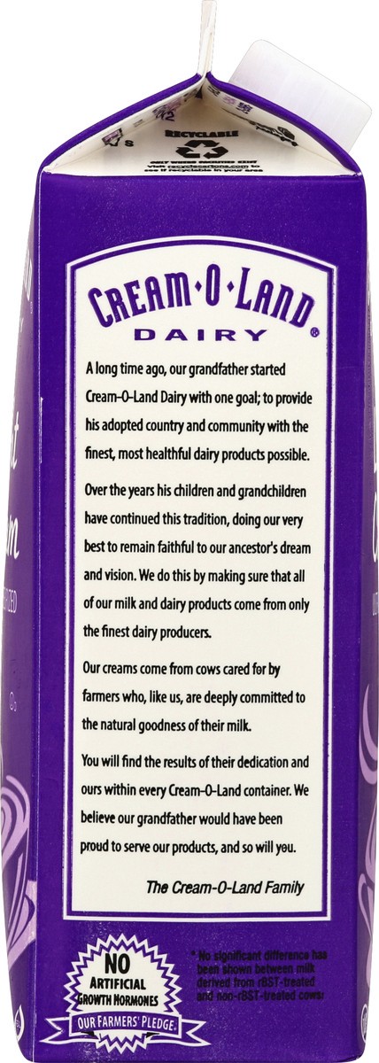 slide 3 of 4, Cream-O-Land Light Cream, 1 qt