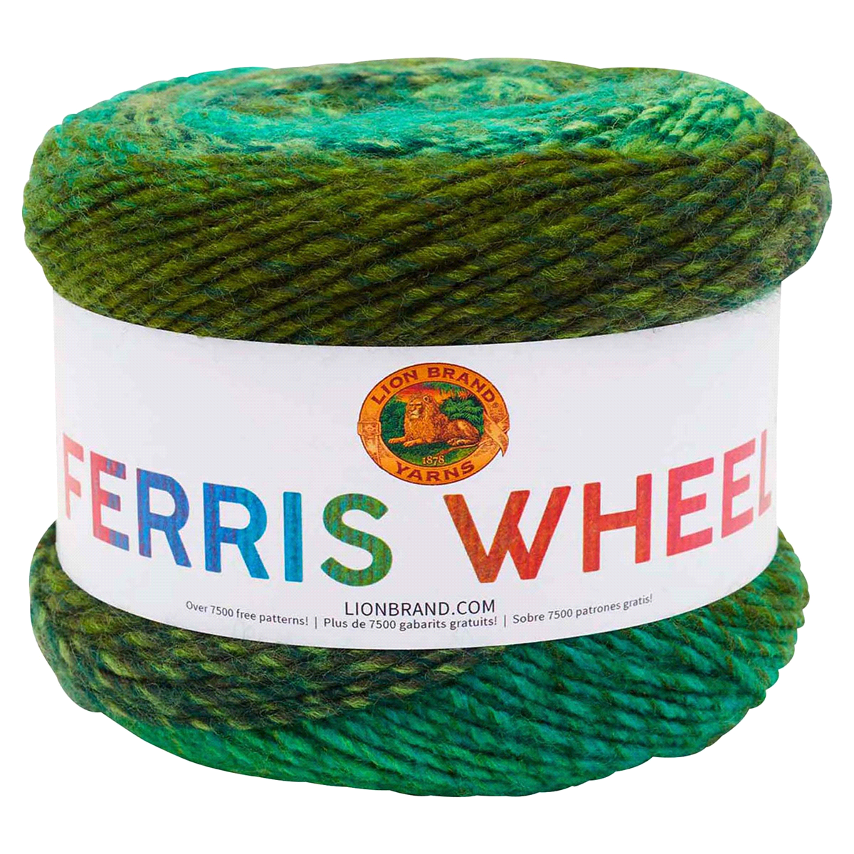slide 1 of 5, Lion Brand Ferris Wheel Yarn - Evergreen, 3 oz
