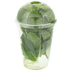 Fresh Aqua-dome Mint