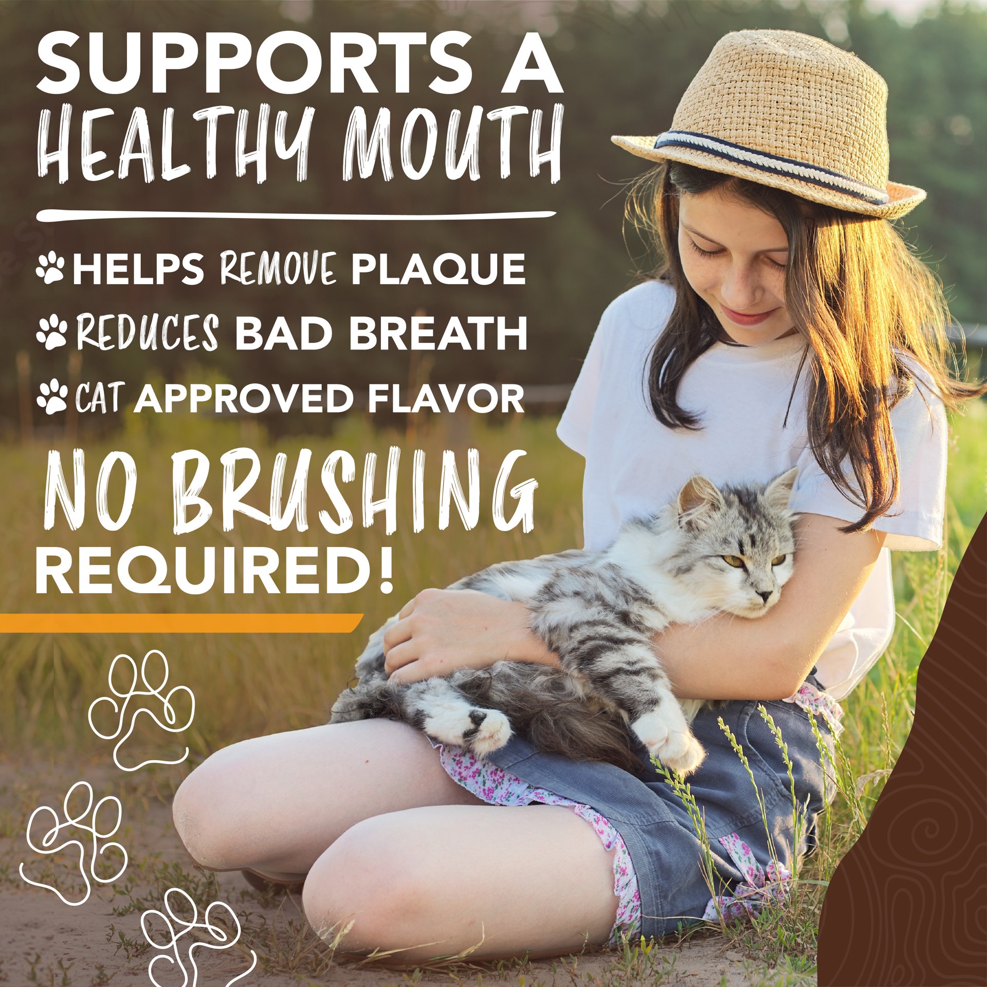 slide 6 of 9, TropiClean Sunsetting - TropiClean Enticers Teeth Cleaning Gel for Cats - Honey Marinated Chicken Flavor, 2oz, 2 oz