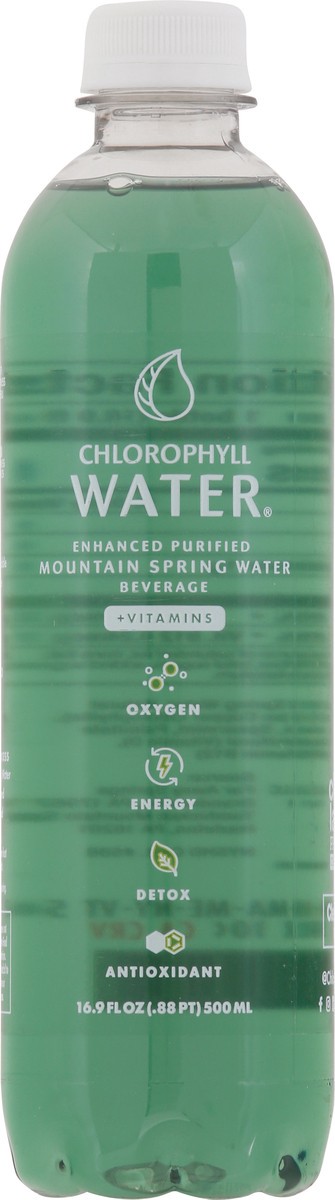slide 6 of 9, Chlorophyll Water - 16.9 fl oz, 16.9 fl oz