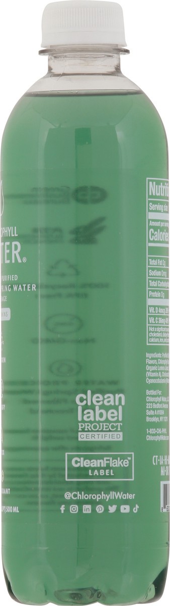 slide 9 of 9, Chlorophyll Water - 16.9 fl oz, 16.9 fl oz