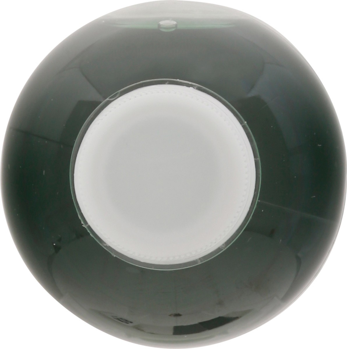 slide 7 of 9, Chlorophyll Water - 16.9 fl oz, 16.9 fl oz