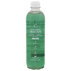 Chlorophyll Water 16.9 fl oz