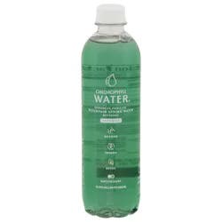 Chlorophyll Water 16.9 fl oz