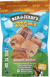 Ben & Jerry's Peanut Butter Cookie Dough Mix 8 oz