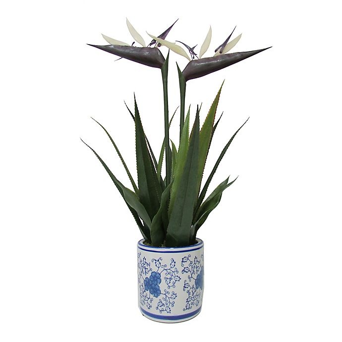 slide 1 of 1, W Home Bird of Paradise - Round Blue/White Ceramic Pot, 25 in