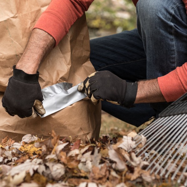 slide 5 of 6, Duck Renewable Material Duck Tape Rolls, 20 Yd X 1-15/16"", Silver, Pack Of 12 Rolls, 12 ct