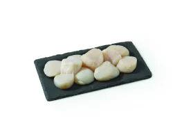 Jumbo Wild Caught Sea Scallops
